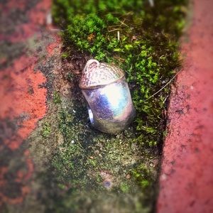 Authentic Pandora Retired Acorn Charm Item# 790442